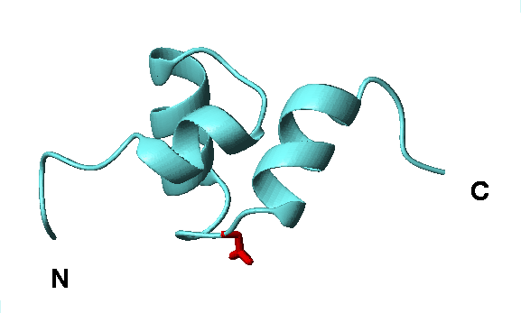 structure of uba domain