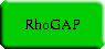 | RhoGAP