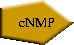  | cNMP